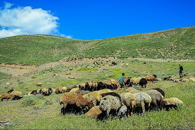 روستای هونجان
