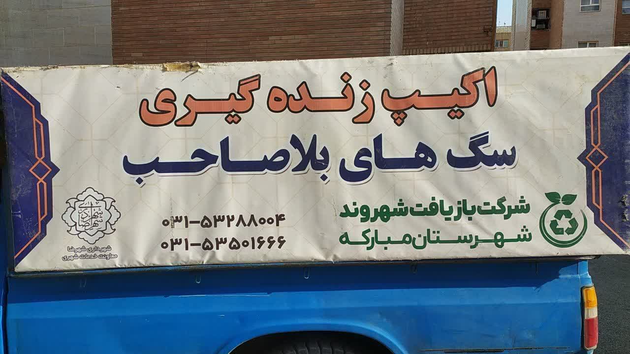 آمار اکیپ زنده گیری شهرداری شهرضا (سگهای بلاصاحب)