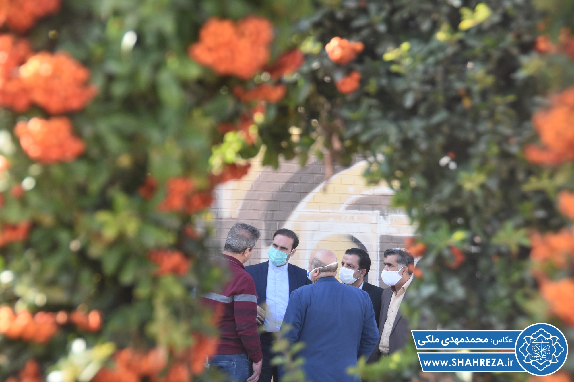 بازدید از رنگ آمیزی دیوارهای سطح شهر
