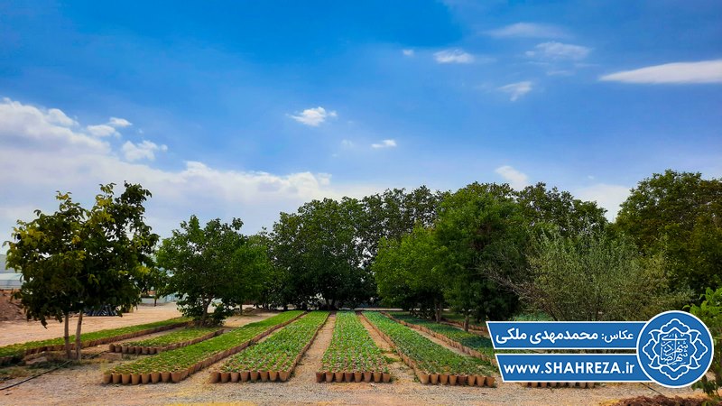 بازدید شهردار شهرضا از نهالستان شهرداری