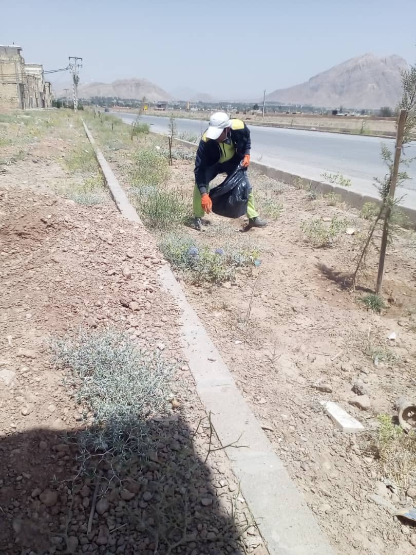 جمع آوری زباله های اطراف سروستان خدمات محله ای جمع آوری زباله های اطراف سروستان توسط حوزه معاونت اجرایی و خدمات شهری
