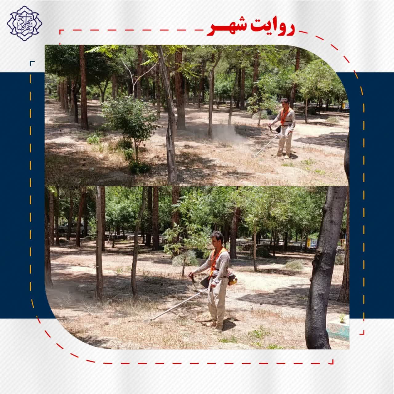 عملیات وجین علفهای هرز در باغ شهر شهرداری