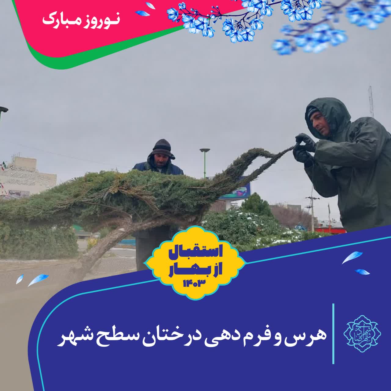 هرس و فرم دهی درختان سطح شهر