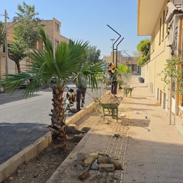 تکمیل سیمای شهری خیابان قائمیه با کاشت درخت